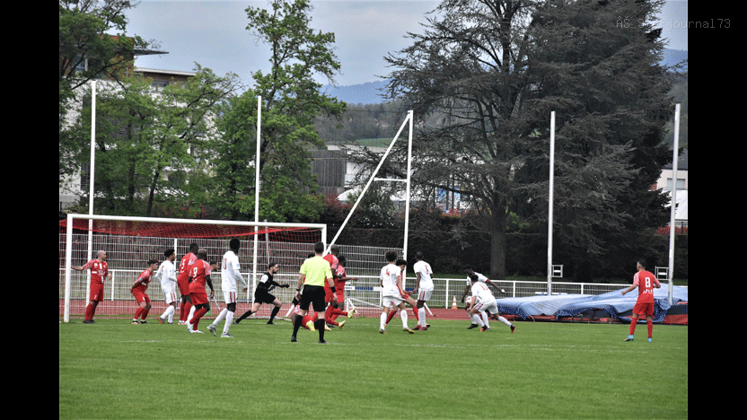 DSC_0287-(2)
