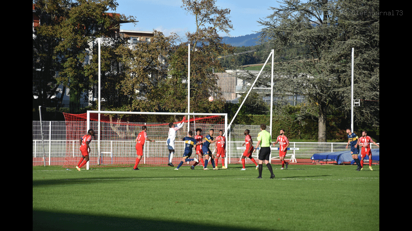 DSC_0679 (1)