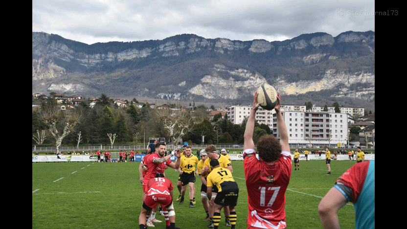 Image_29 (2)