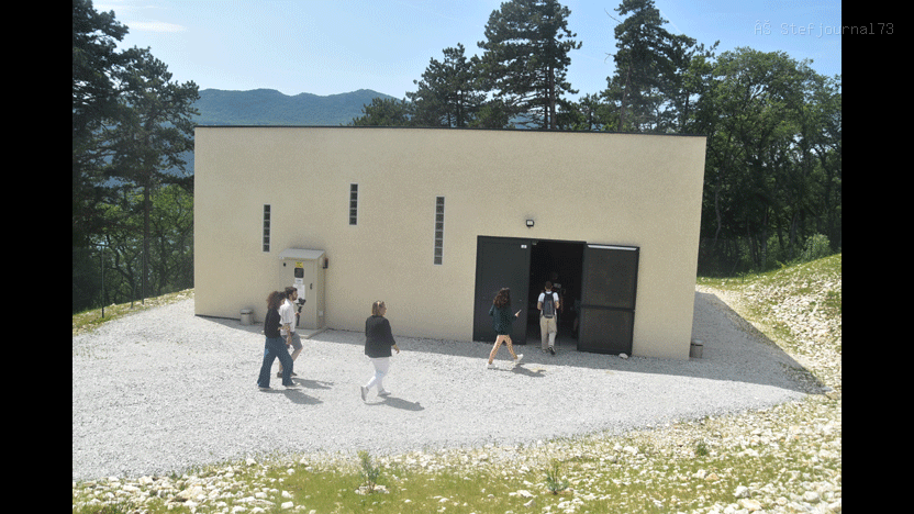 Image_7 (7)